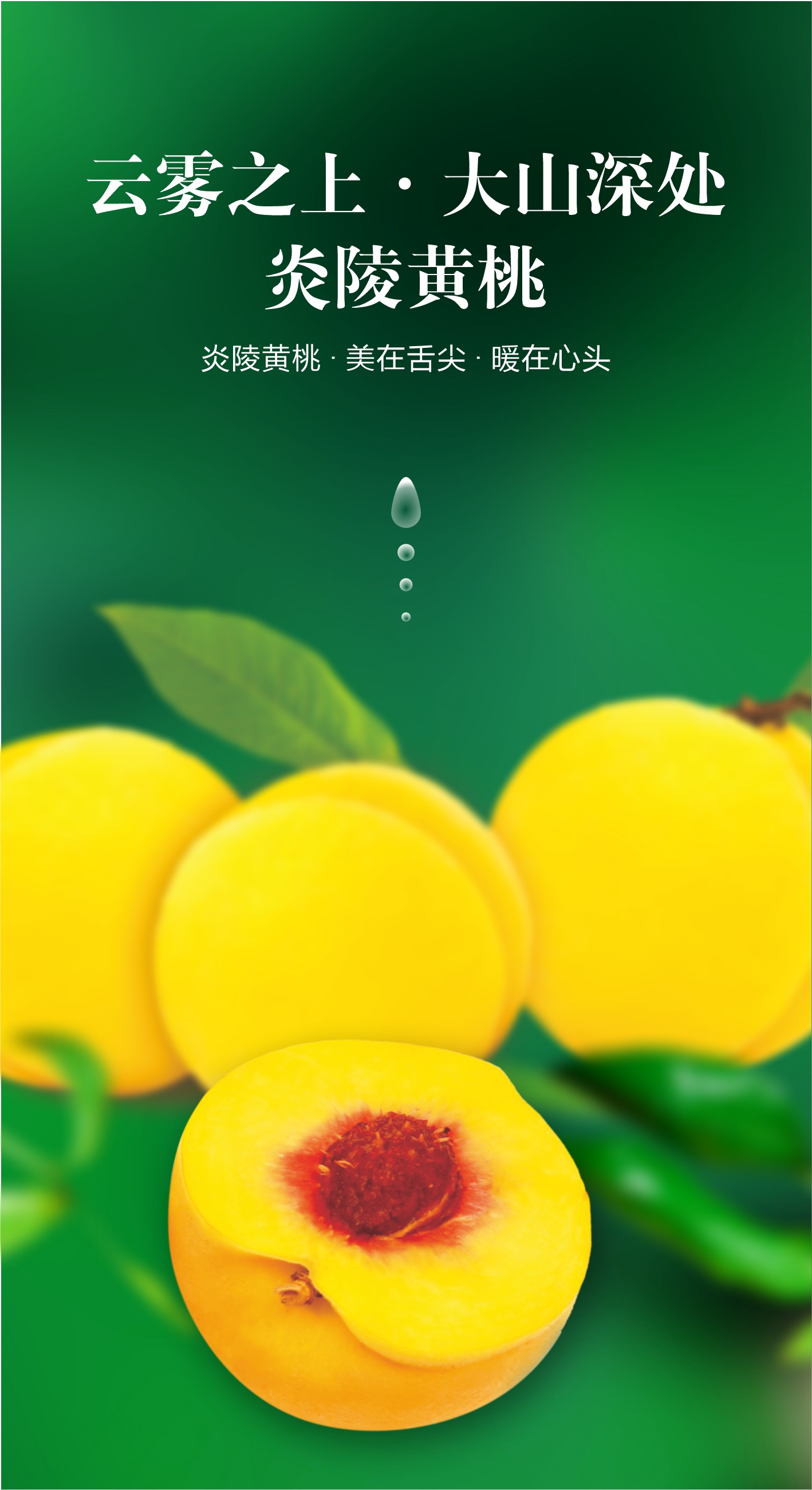 炎陵黄桃精品礼盒装