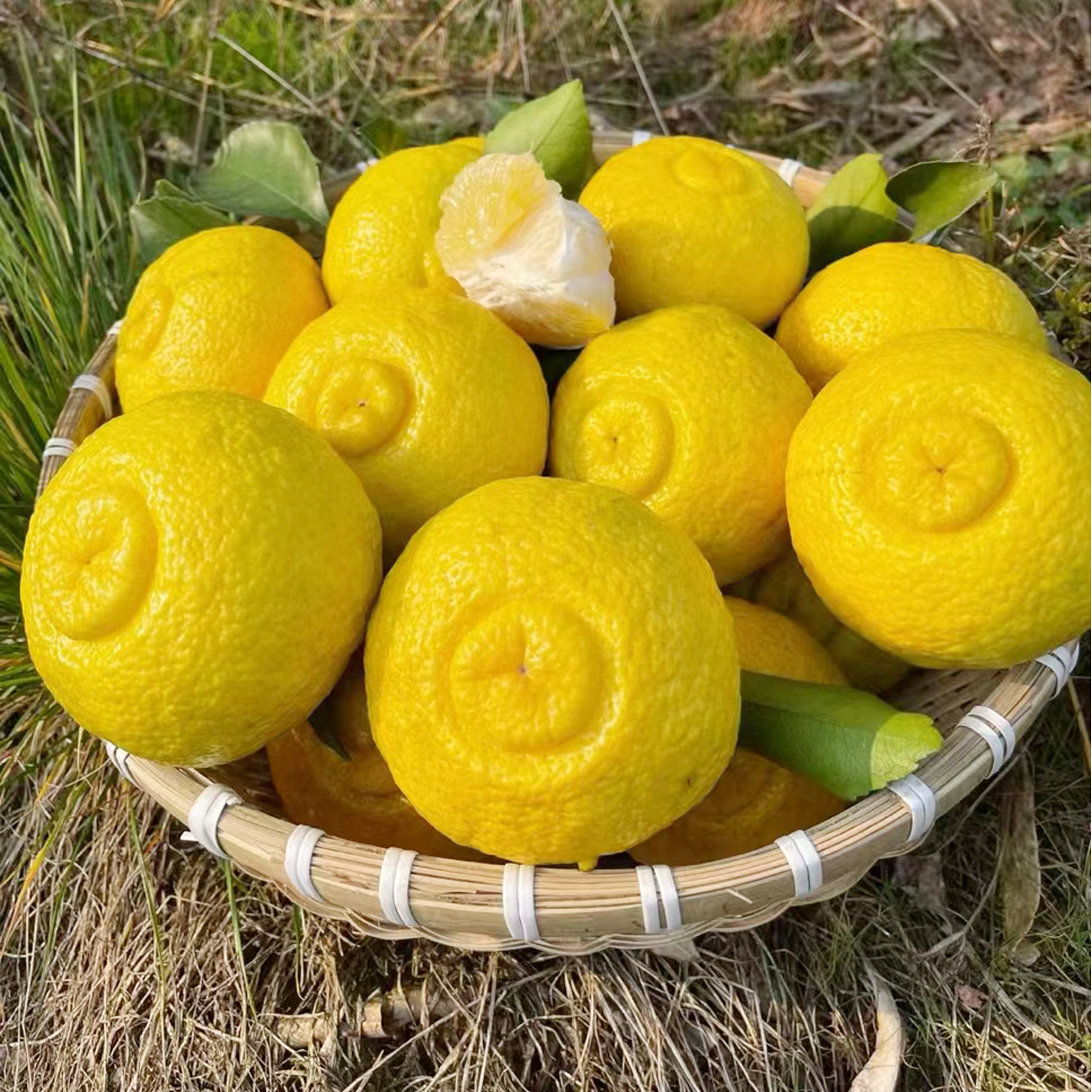 麻阳黄金贡柚带箱8斤装