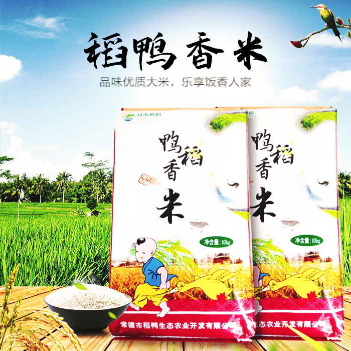 常德市鸭稻香米10kg（普包）