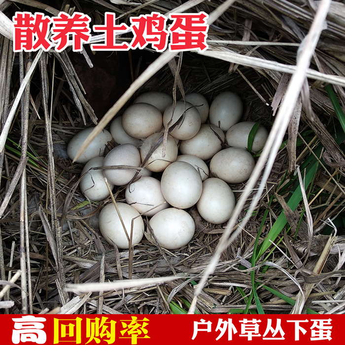 常宁 王谷岭 散养土鸡蛋 30枚每箱