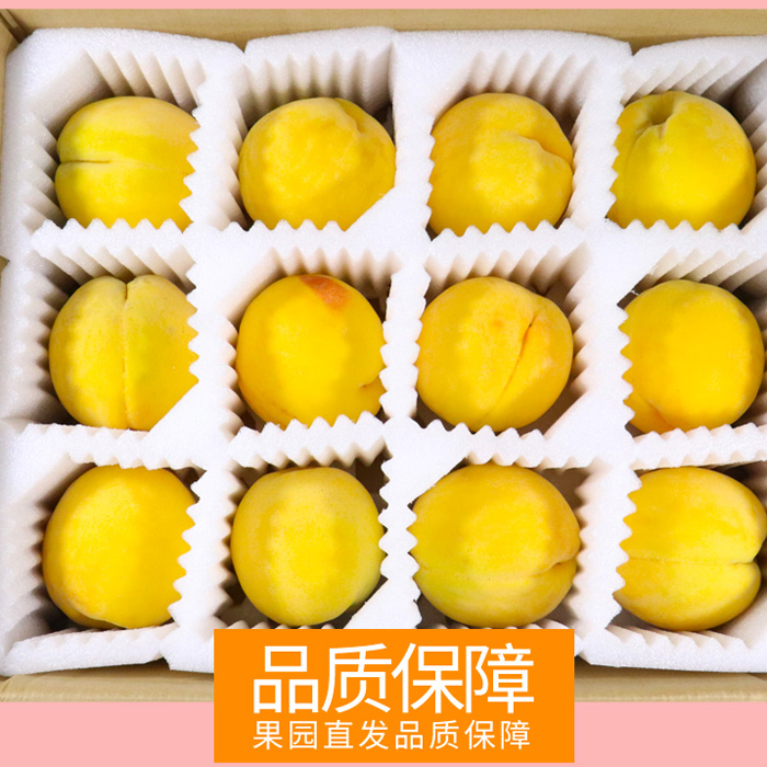 冷水江市铁山村 瑞生源 现摘精品黄桃10斤