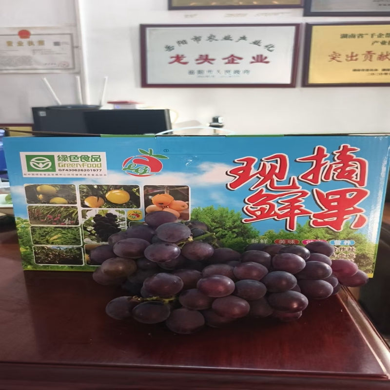 平江县巨丰葡萄10元/斤