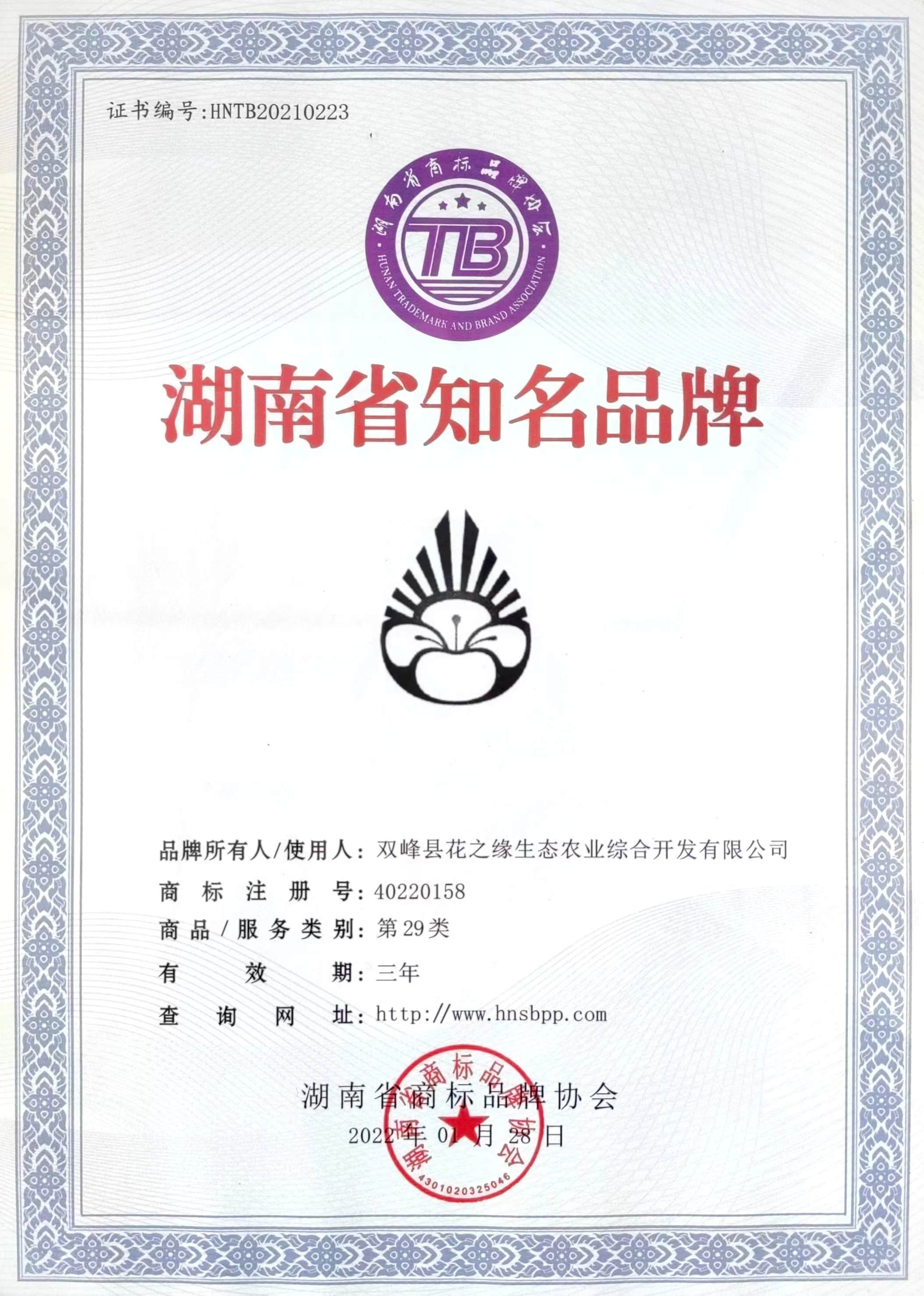 加分项资料
