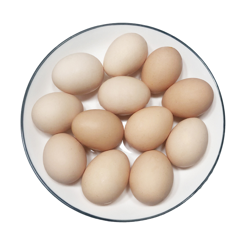 溆浦县益翠园鲜鸡蛋礼盒50枚装 县城内免运费