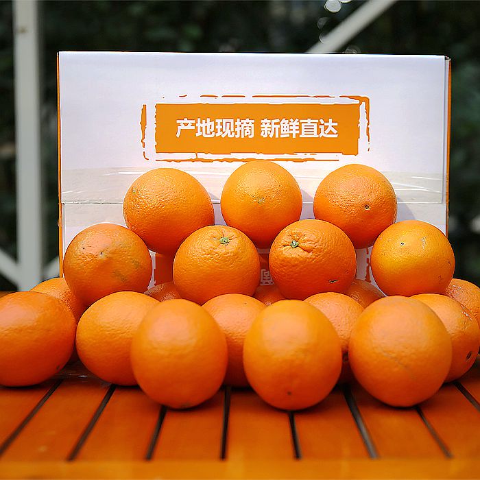 东安 舜德红  特级精品脐橙 当季采摘  新鲜甜橙 10斤/盒 80果 68元