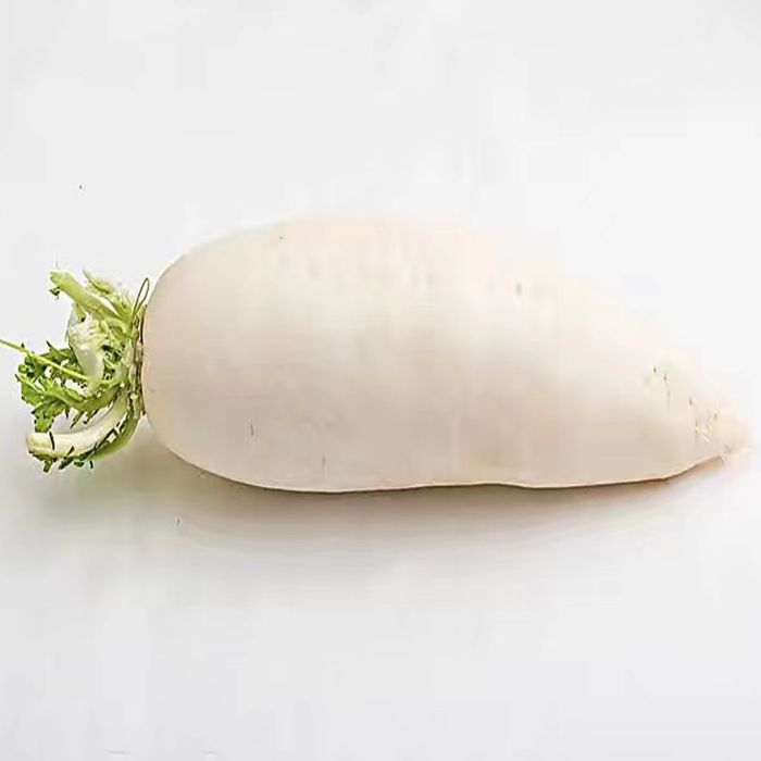 湘潭市雨湖区白萝卜2000g