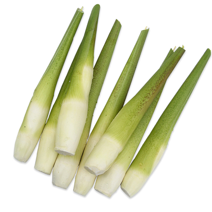 湖南长沙宇田蔬菜茭瓜500g