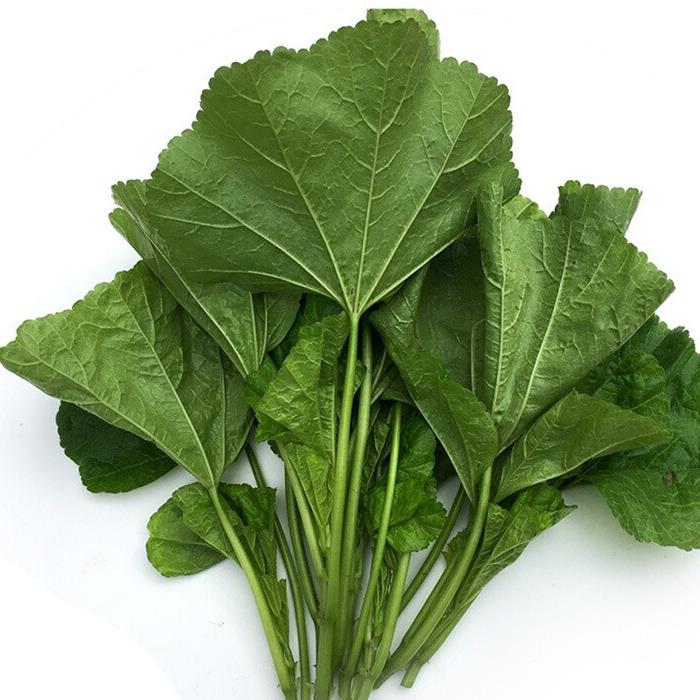 湖南长沙宇田蔬菜冬苋菜500g