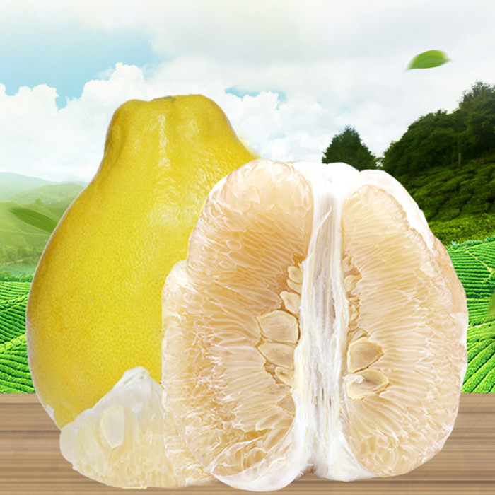 湖南江永县瑶族乡 自种香柚不酸 12.5公斤/袋