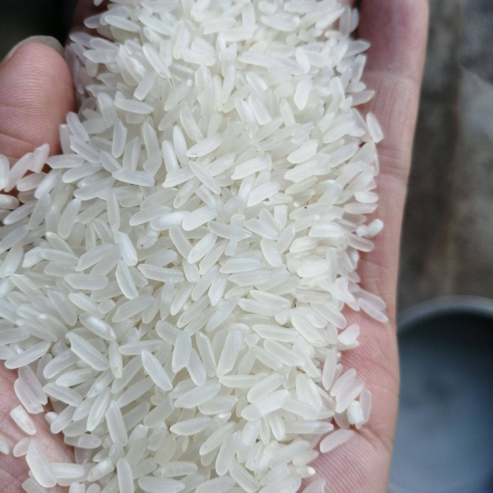 长沙县福祥丝苗 蜂稻米 50斤/袋