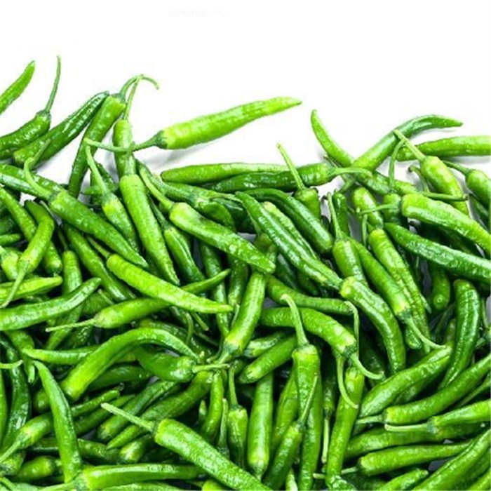 望城仓自营樟树港辣椒 500g