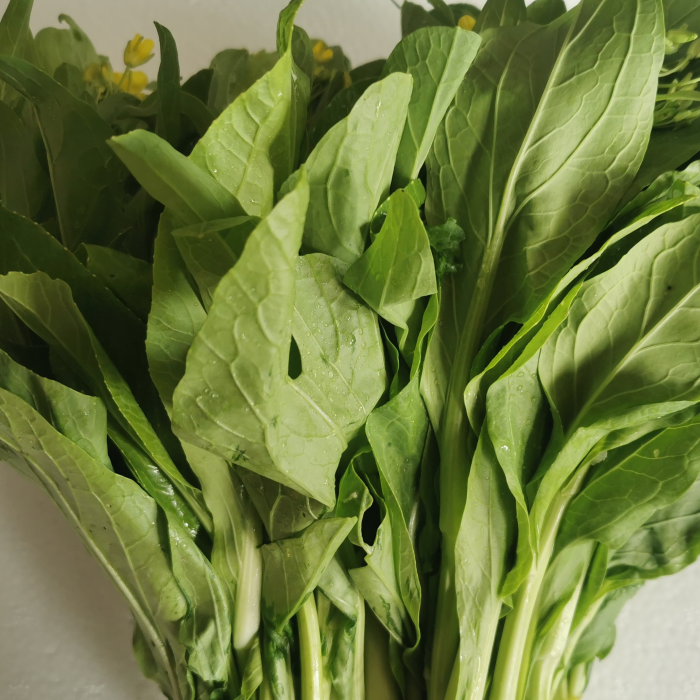 望城仓自营白菜苔500g