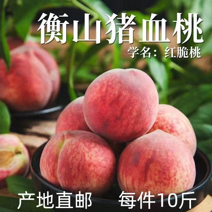 衡山县萱洲镇猪血桃10斤包邮直发