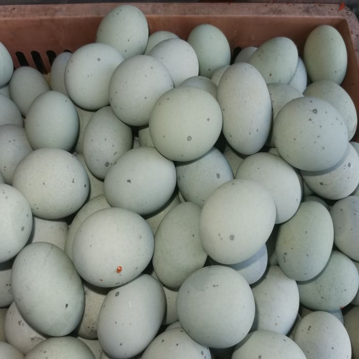 茶陵县中药鸡蛋30个/盒