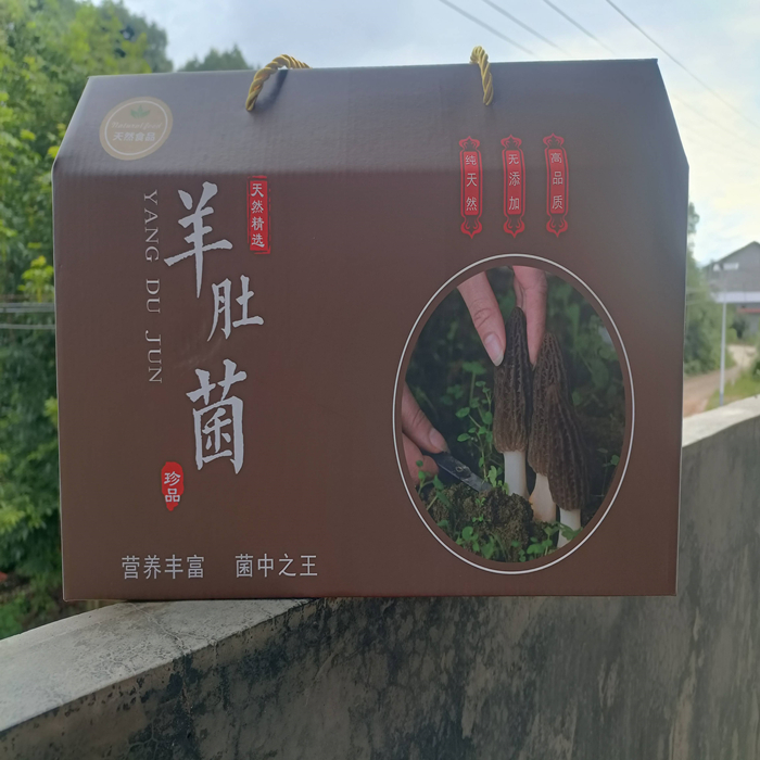 茶陵县益宇羊肚菌干250g