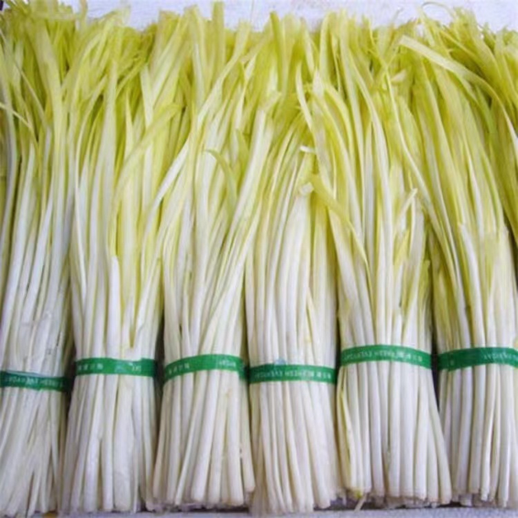 宁乡市 同膳仓 韭黄500g