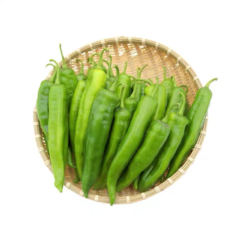 宁乡市 同膳仓 青尖椒500g