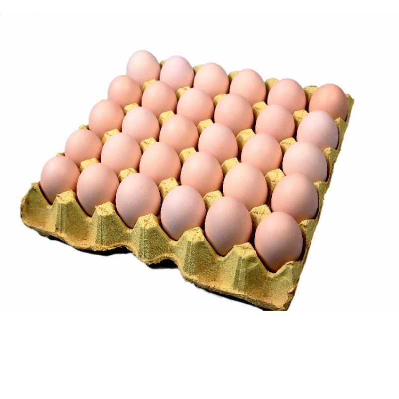 宁乡市 同膳 白壳鸡蛋360个