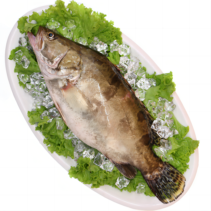 湘潭2仓自营 桂鱼500g