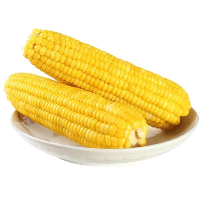 长沙县 永润 剥皮甜玉米  去叶甜玉米 500g
