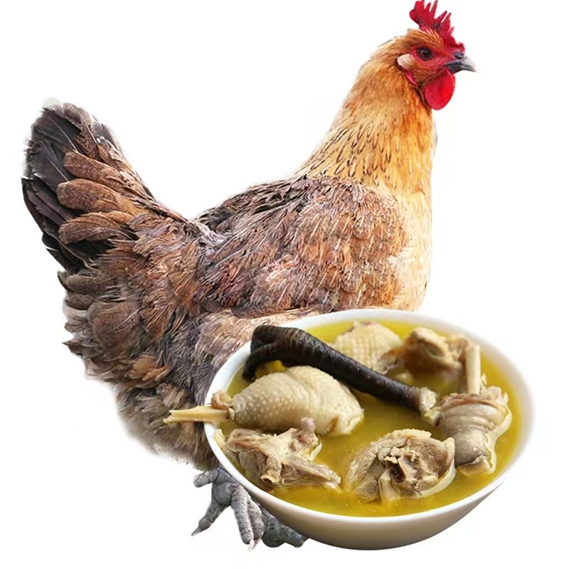 长沙永润 黄油老母鸡 （净膛）约3kg/只