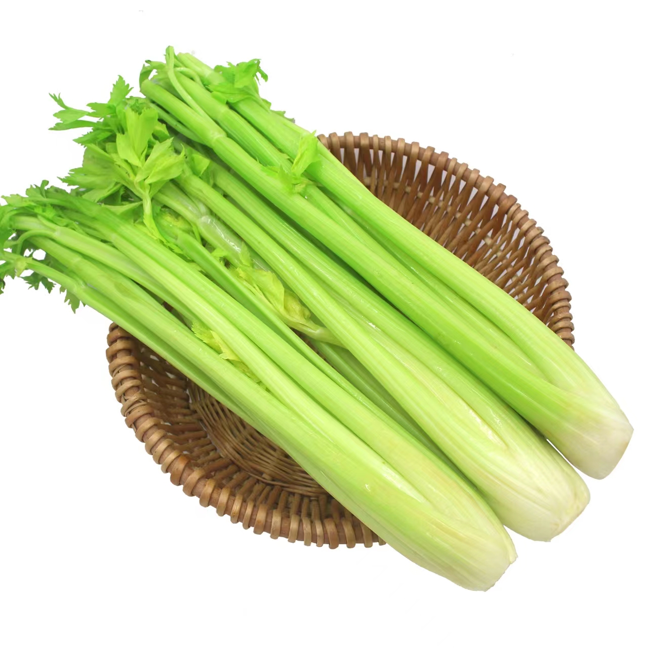 长沙永润 西芹 500g