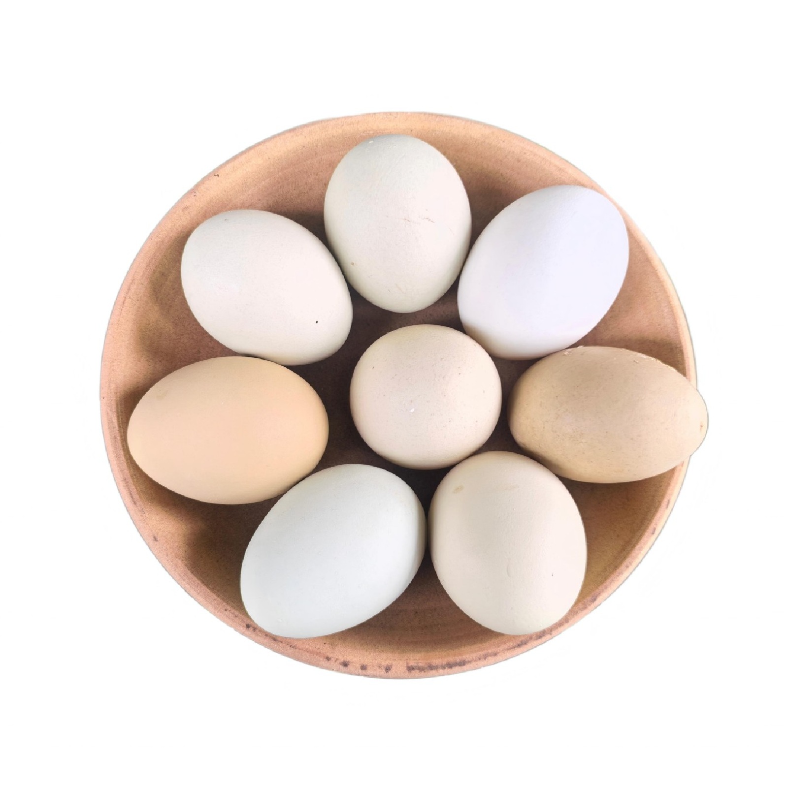 新晃乌黑鸡土鸡蛋30枚/箱