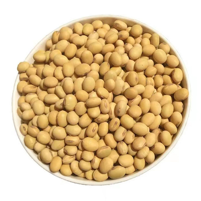茶陵县农家黄豆豆浆专用黄豆5斤