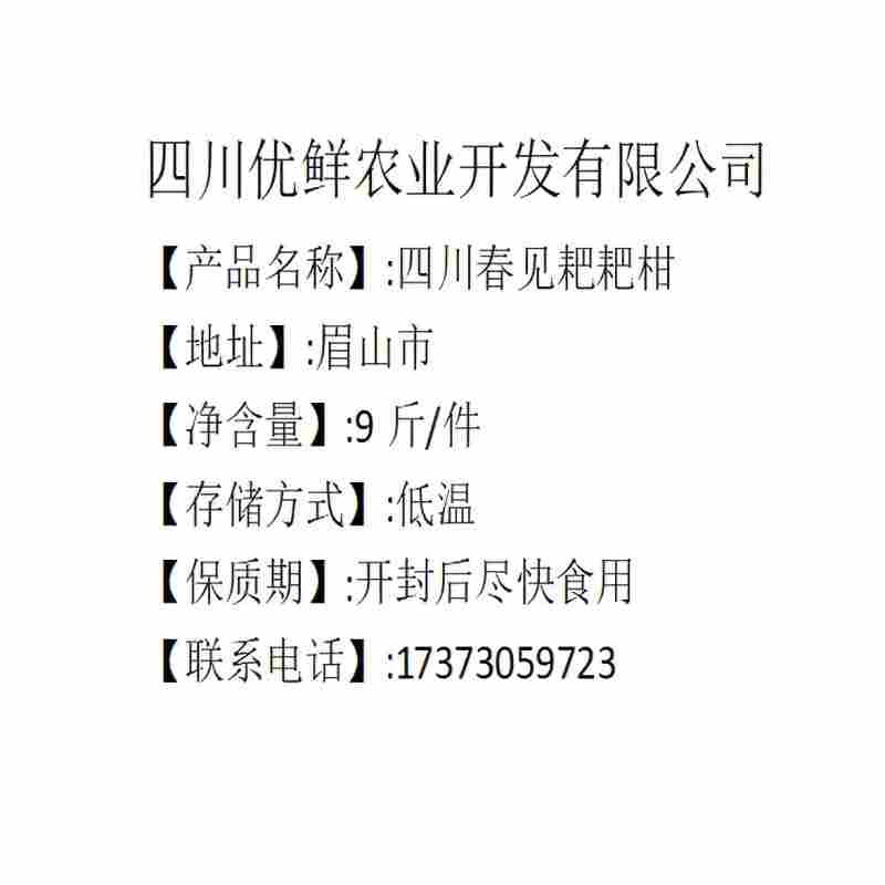 （四川）特级春见耙耙柑约9斤
