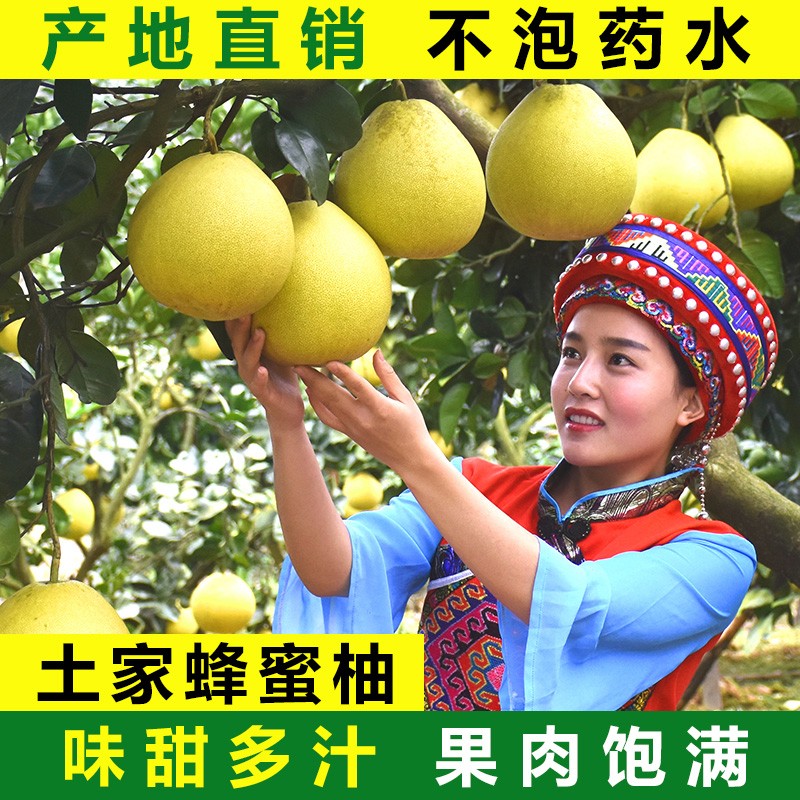 永顺县白皮柚子约9斤装礼盒装白肉蜜柚水果新鲜白皮蜜柚当季整箱包邮