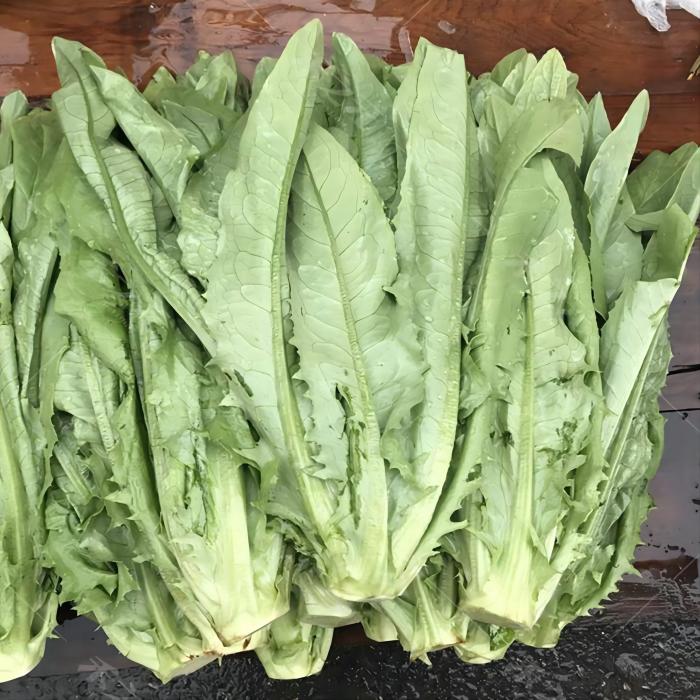 新宁县 油麦菜500g