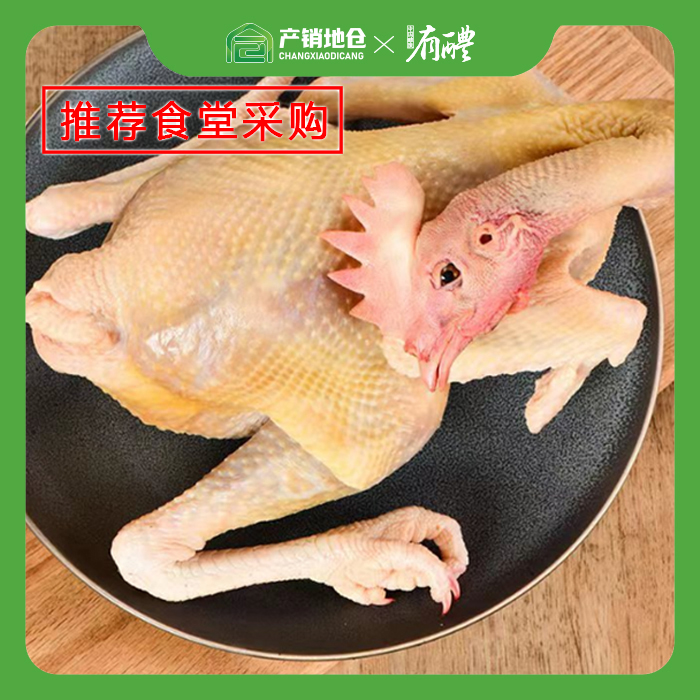 醴陵仓  鲜杀 老母鸡（净膛）10斤 正负0.2斤