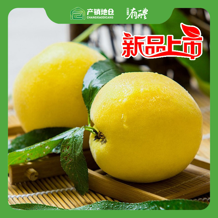 醴陵仓 正宗炎陵黄桃 锦绣黄桃5kg（单果3.5两以上）