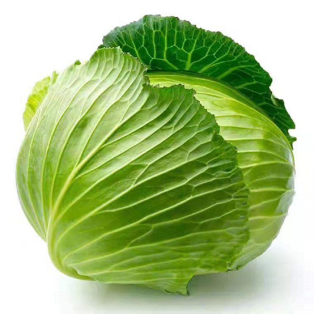 攸县 包菜500g