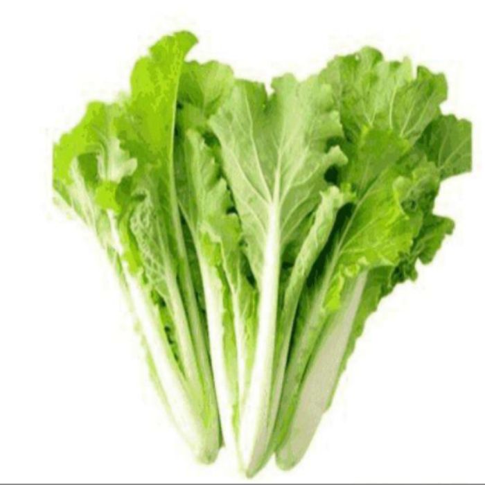 攸县 新鲜芽白500g