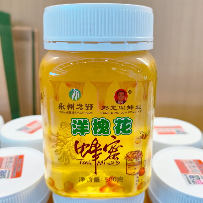 永州市东安县邓定军蜂蜜洋槐蜜500克永州之野