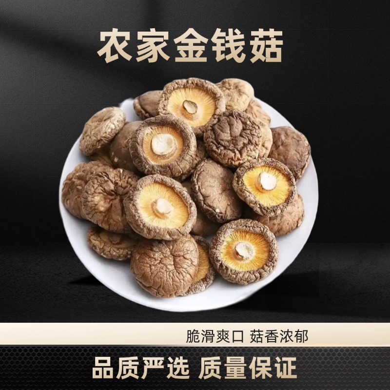 陕西麦浇芽金钱菇金菇金钱菌智力菇煲汤炒菜干货1.5-2cm小香菇包邮500g