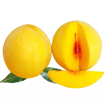 炎陵黄桃 (5斤装） 仅限湖南省内包邮