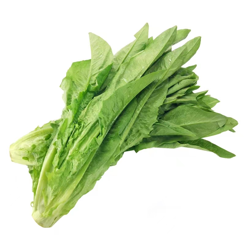 湖南邵阳油麦菜散装称重1斤