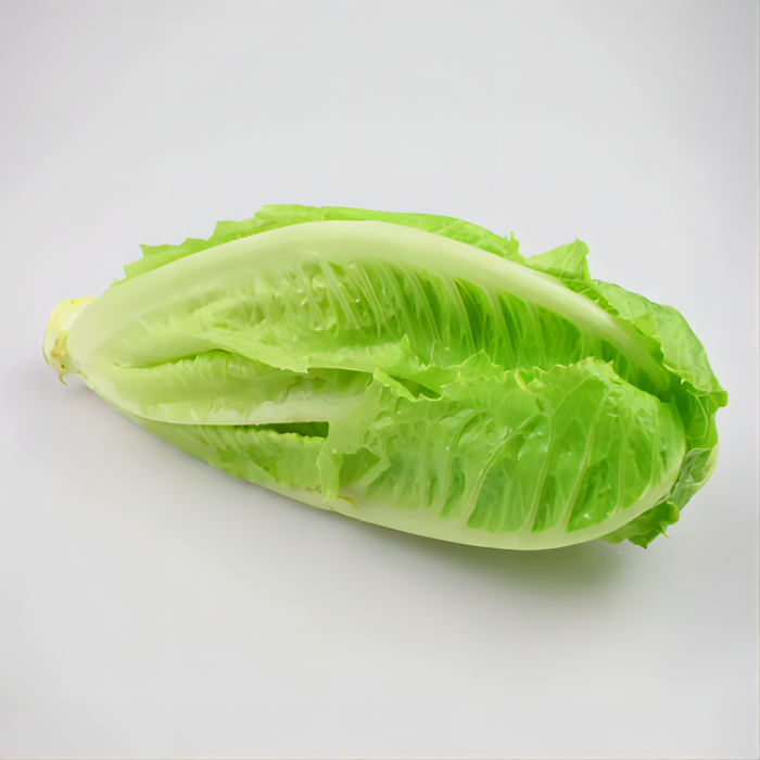 醴陵市隆富休闲农家自种生菜500G
