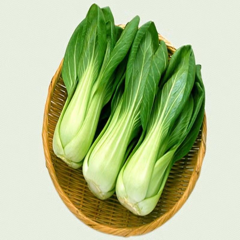 醴陵市隆富休闲农家自种小青菜500G