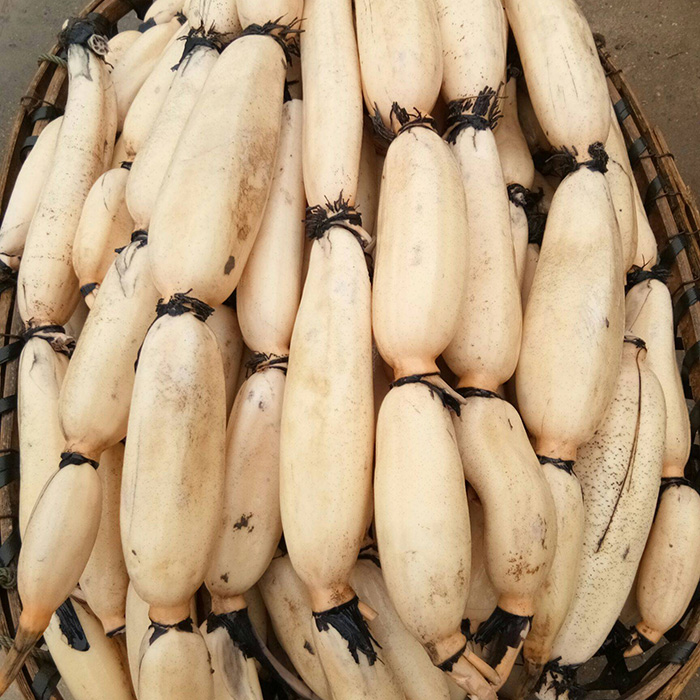 醴陵市隆富休闲农家自种莲藕500G