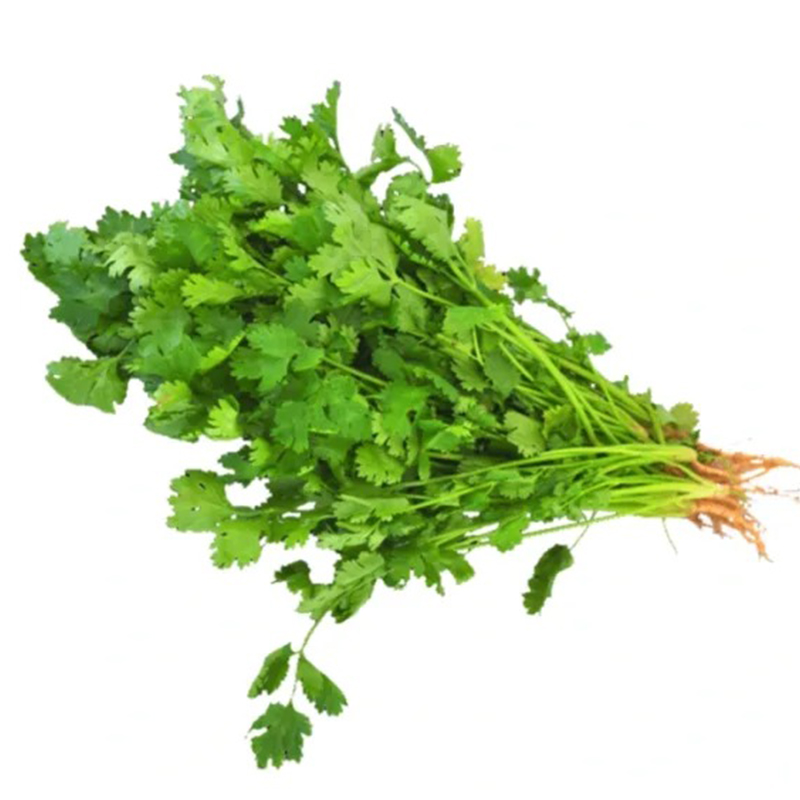 湖南桃江先田香菜500g