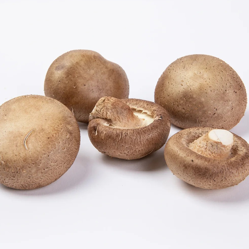 湖南桃江先田香菇500g