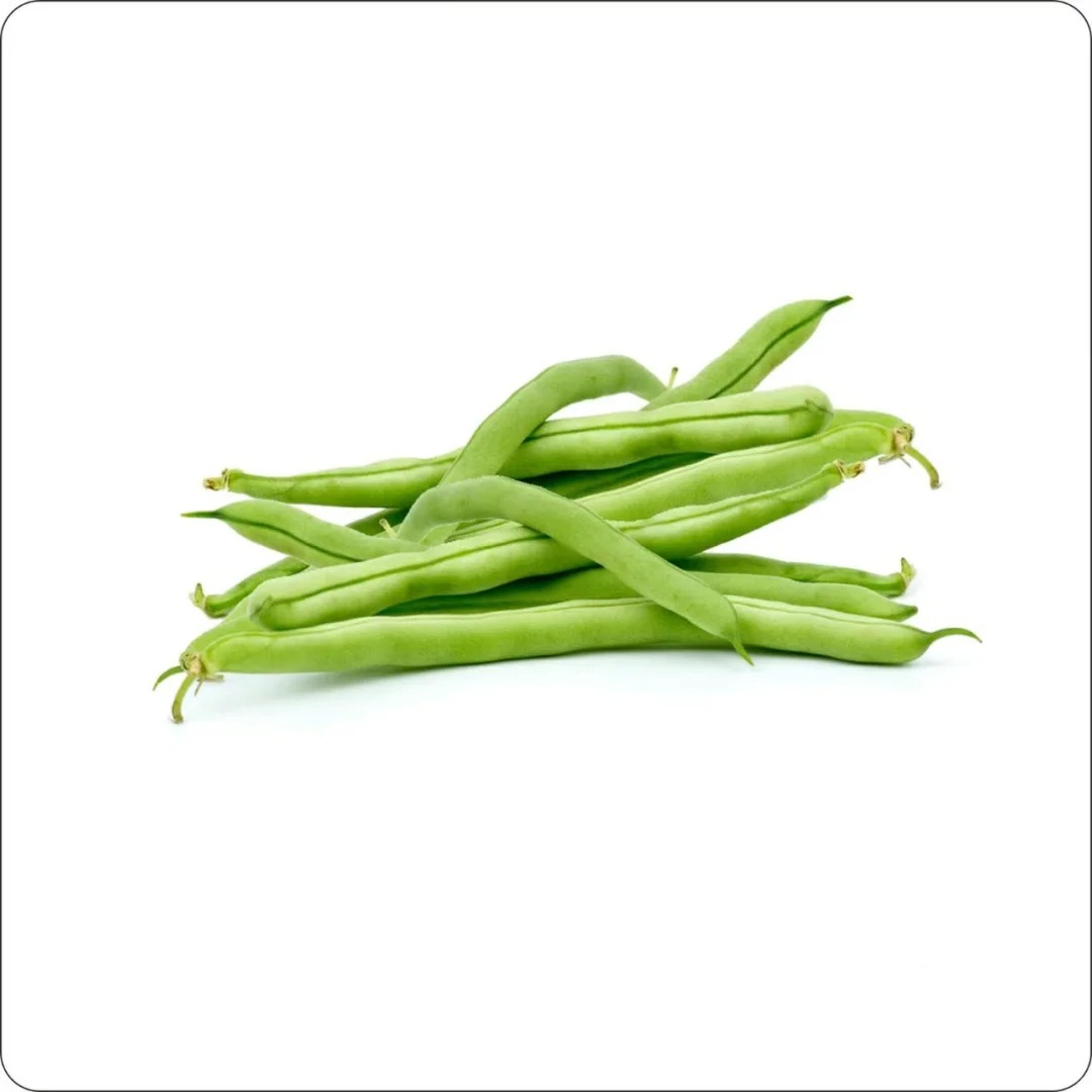 湖南桃江先田四季豆500g