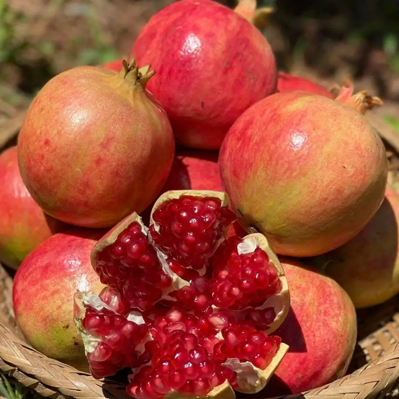 湖南桃江先田石榴500g