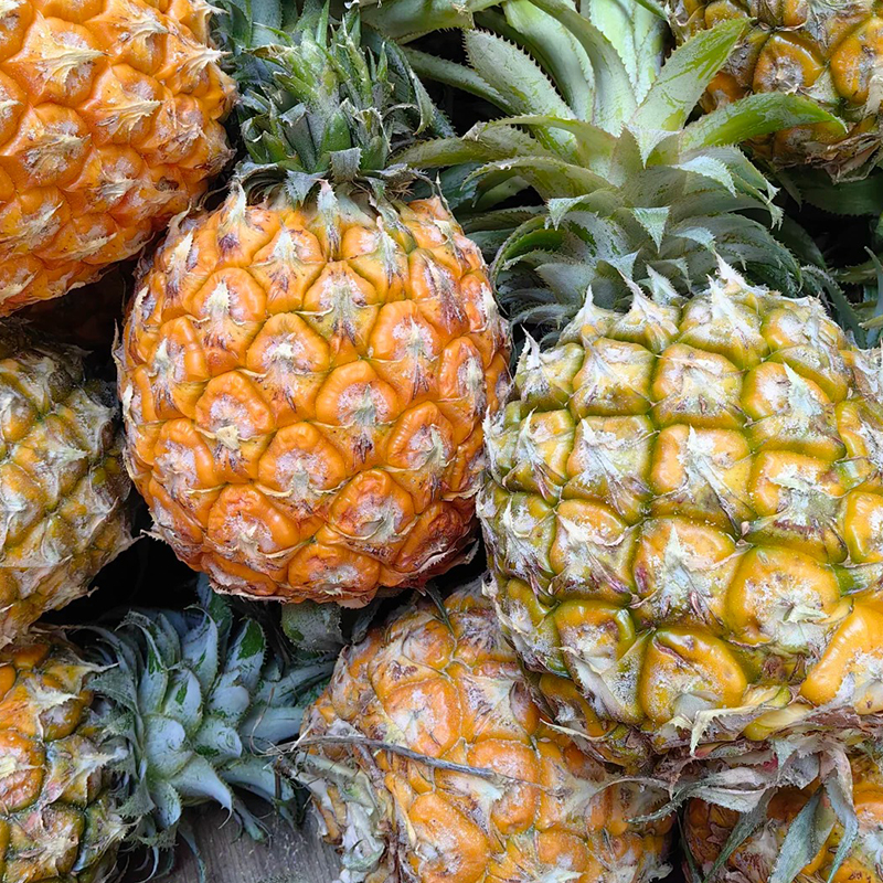 湖南桃江先田菠萝500g