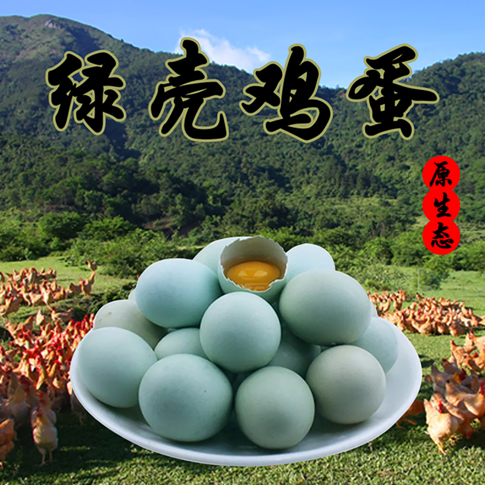 桑植县散养绿壳鸡蛋480枚/箱装鲜鸡蛋