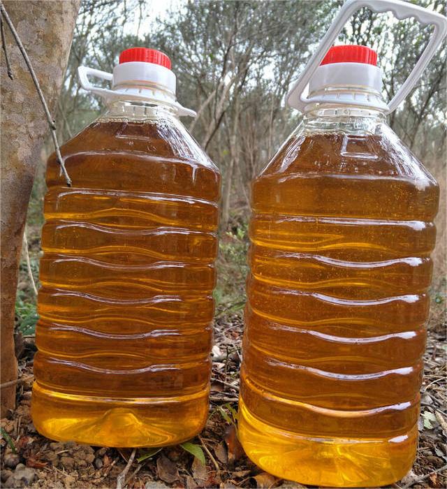 农户自家种殖加工山茶油1斤