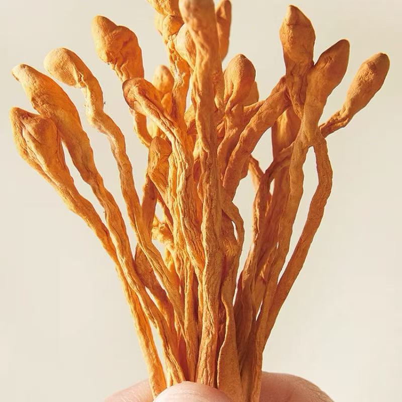 长沙县无硫虫草花500g